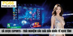 Cá Cược Esports - Trải Nghiệm Các Giải Đấu Quốc Tế Kịch Tính